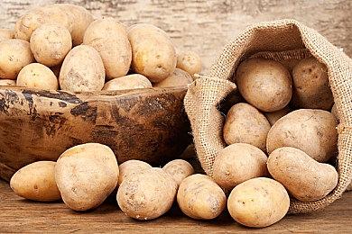 《分享同乐！瓦里奥制造》新视频 展示合作模式玩法